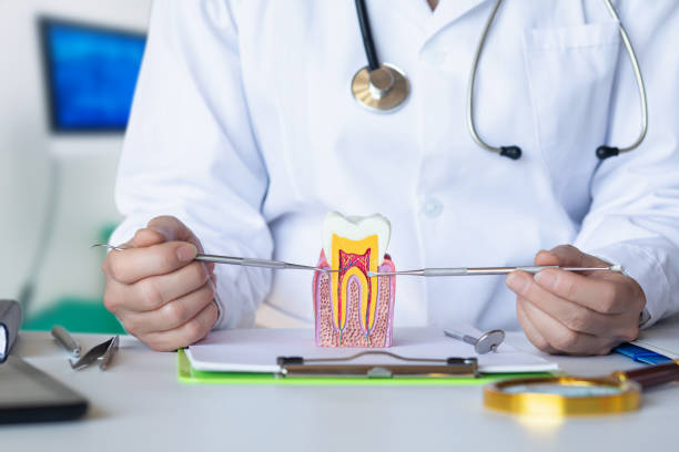 Best Emergency Gum Pain Relief  in Ke Providence, LA